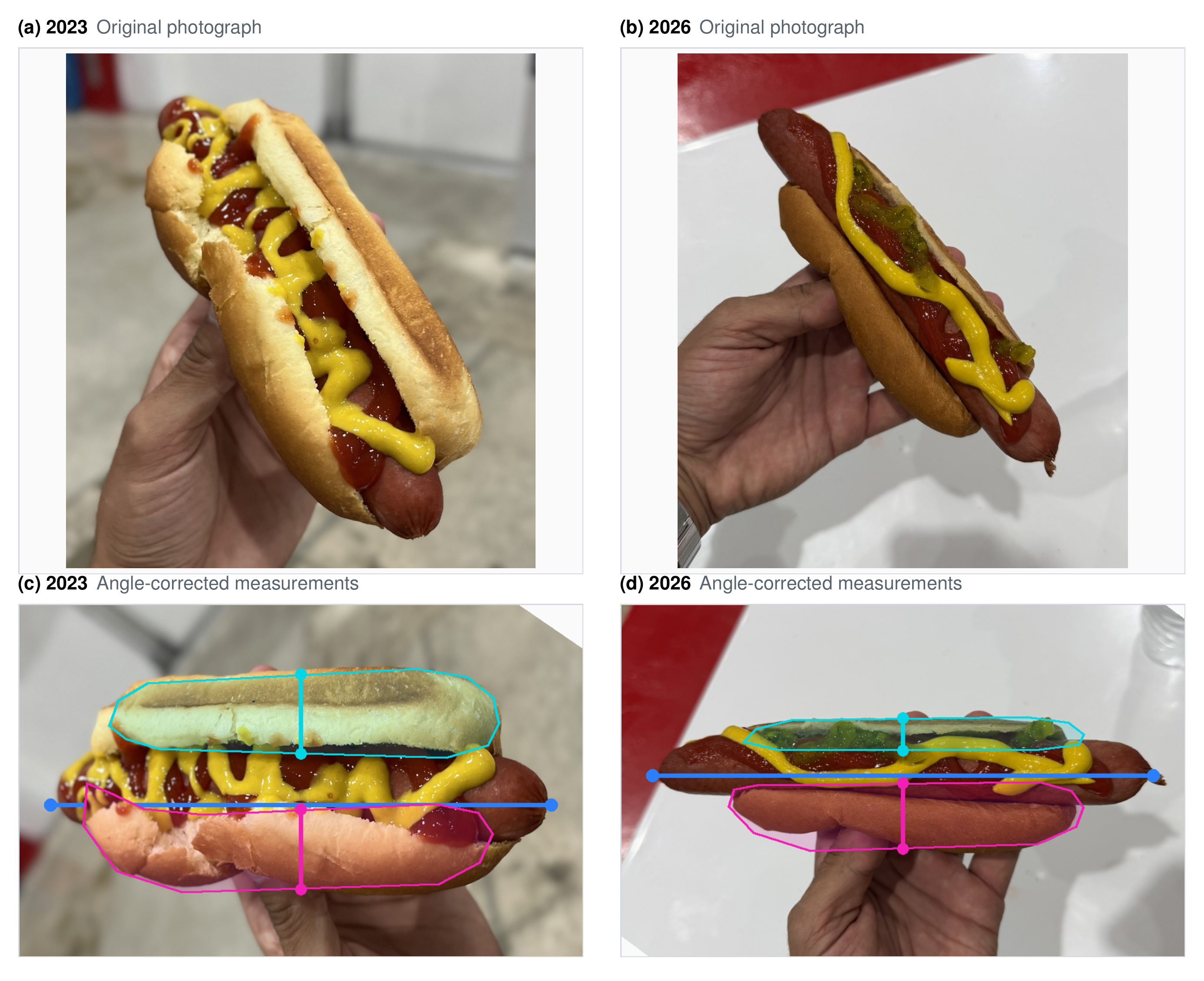 The 2023 and 2026 Costco hot dogs before and after dog-based registration. The blue line marks the 8-inch sausage; cyan and magenta guides trace the two bun halves and mark their widths.